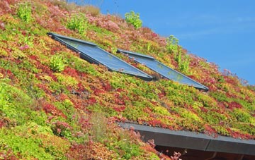 Staveley living roof systems
