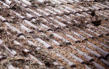 Staveley roof cleaning companies