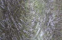 Staveley fibreglass roof work